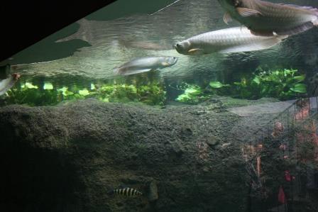 IMG_5454.JPG