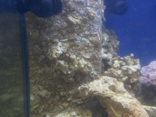 20130416_141035.jpg