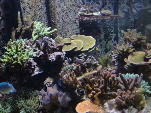 April 2013 073.JPG