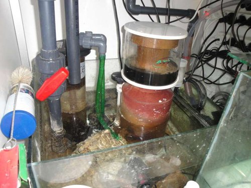 April 2013 074.JPG