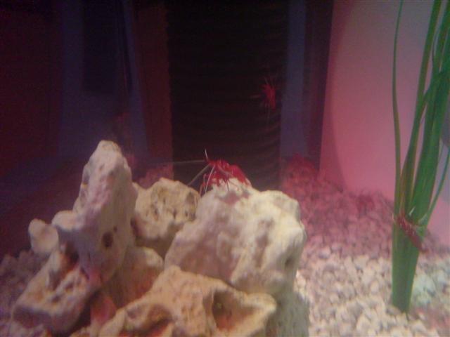 DSC00001 (Small).JPG