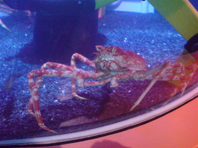 DSC00002 (Small).JPG