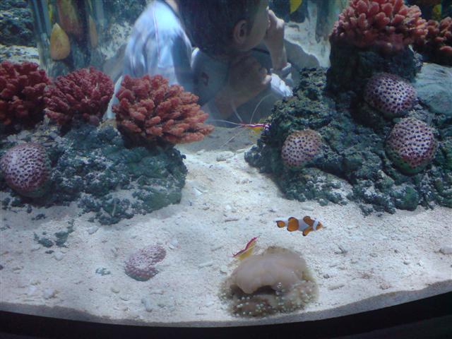 DSC00004 (Small).JPG