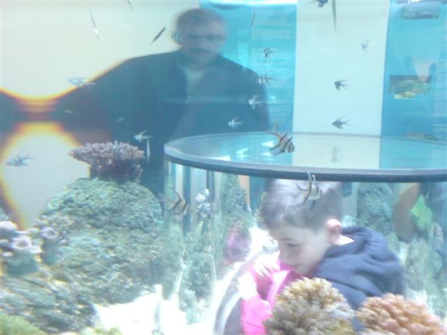DSC00007 (Small).JPG