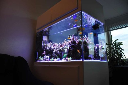 FTS