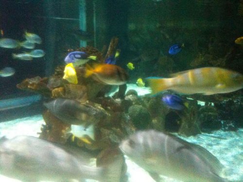 IMG_1583.JPG