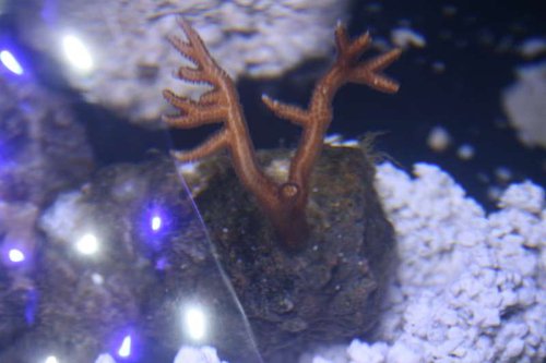 IMG_8708.JPG