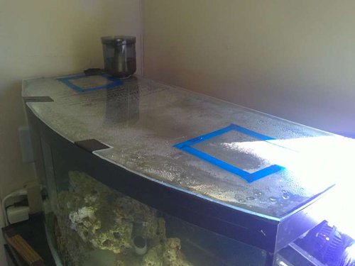 Specielskåret 3mm plexiglasplade, så sprutten ik stikker af. Jeg skal have lavet 2 skyde låger, eller 2 plexiglaslåg som skal sidde med velcro, så jeg kan fodre og skifte filtermateriale uden frygt for "Octo-Escape".