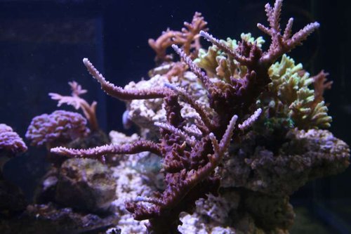 IMG_8722.JPG