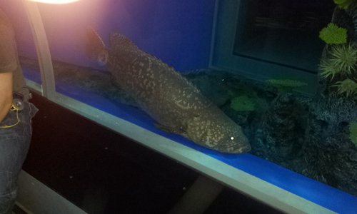 20130613_172746.jpg