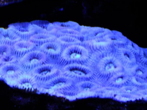DSCF8656 (Medium).jpg