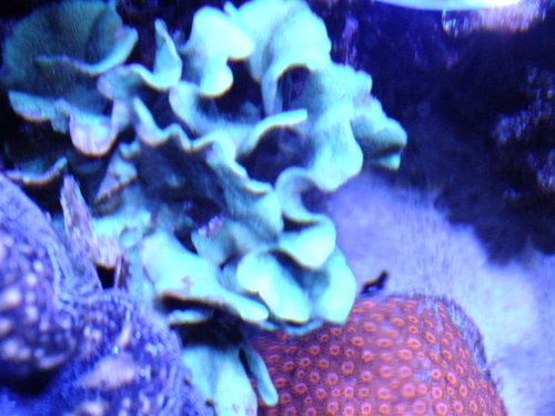 DSCF8634 (Medium).jpg