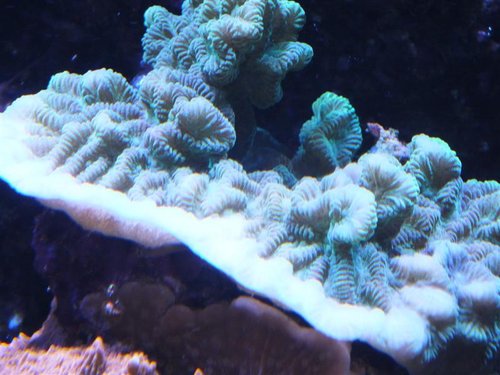 DSCF8709 (Medium).jpg