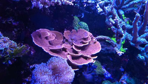 2013-07-06 21.43.08.jpg