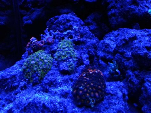 20130719_222621.jpg
