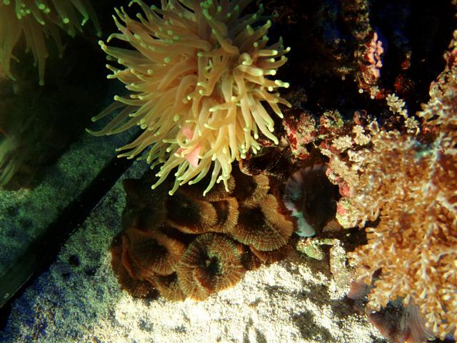 P5053867 (Small).JPG