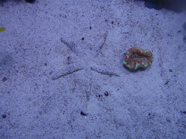 P5103929 (Small).JPG