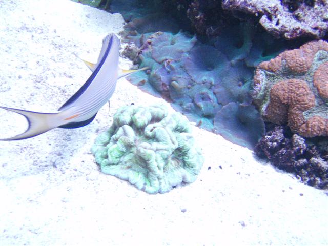 P5103898 (Small).JPG