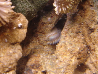 DSC04213.JPG