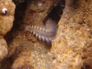 DSC04214.JPG