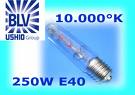 e40.jpg
