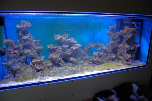 DSC_4990.JPG