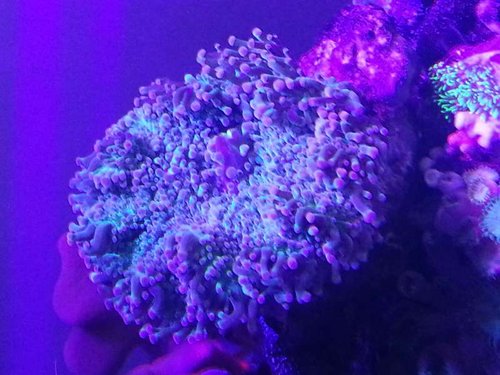 20130918_185555.jpg