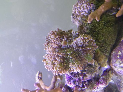 20130831_165500.jpg