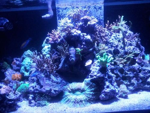 20130918_210256.jpg
