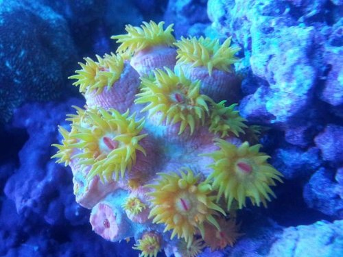 20130918_205833.jpg