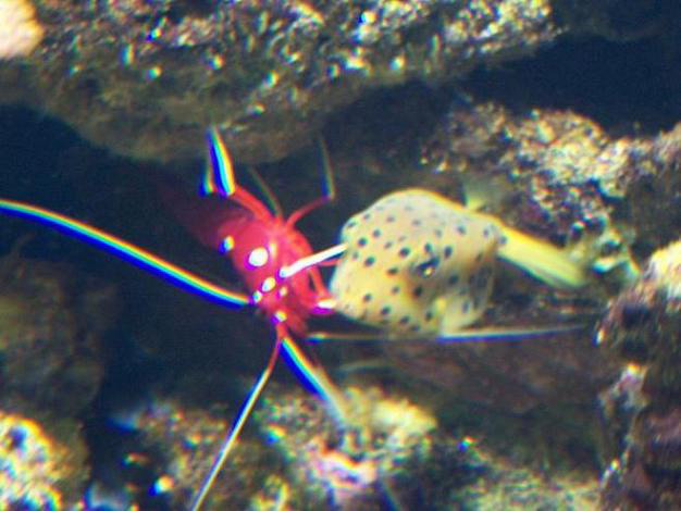 100_3415.jpg