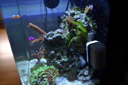 DSC_0887.JPG