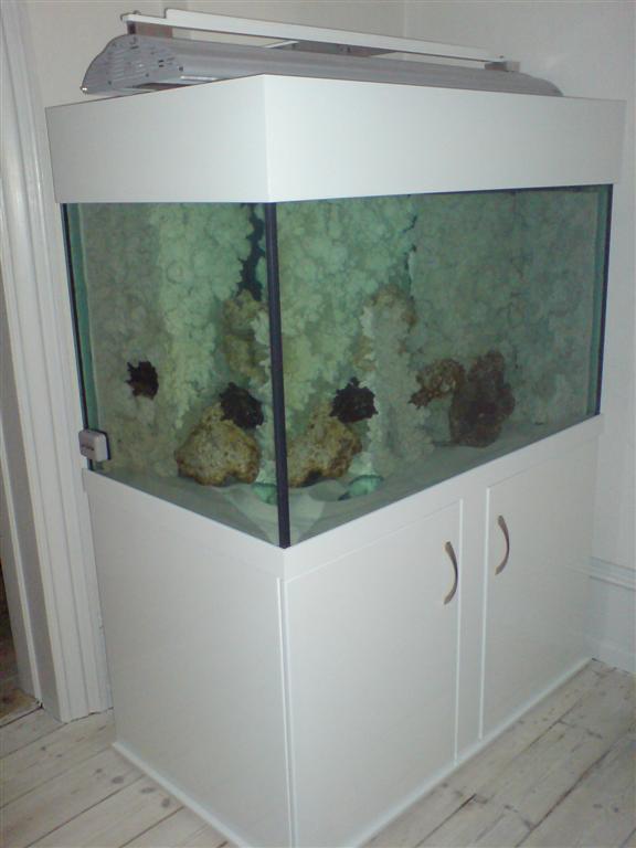 Akvariet inden der kom vand i.