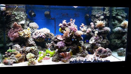 2013-10-09 20.34.27.jpg