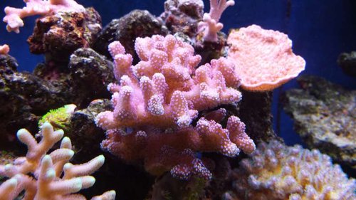 2013-10-07 12.58.35.jpg