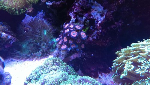 2013-10-06 21.10.49.jpg