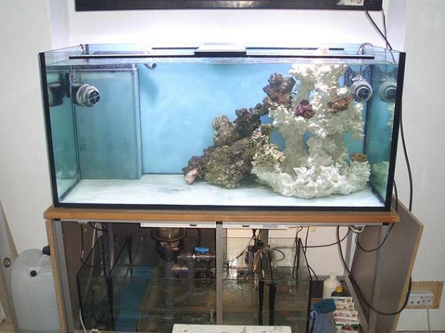 akvarie 001.jpg