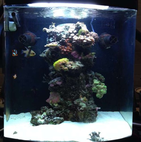 FTS