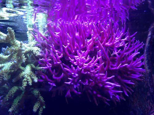 IMG_0730.JPG