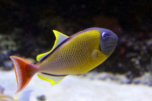 IMG_9044.JPG