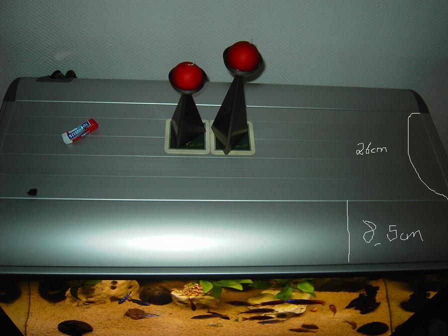 PICT2289.JPG