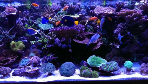 2013-12-06 21.21.58.jpg