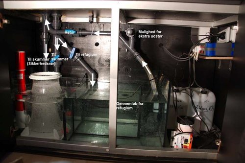 Sump.jpg