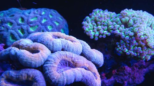 IMG_6384.JPG