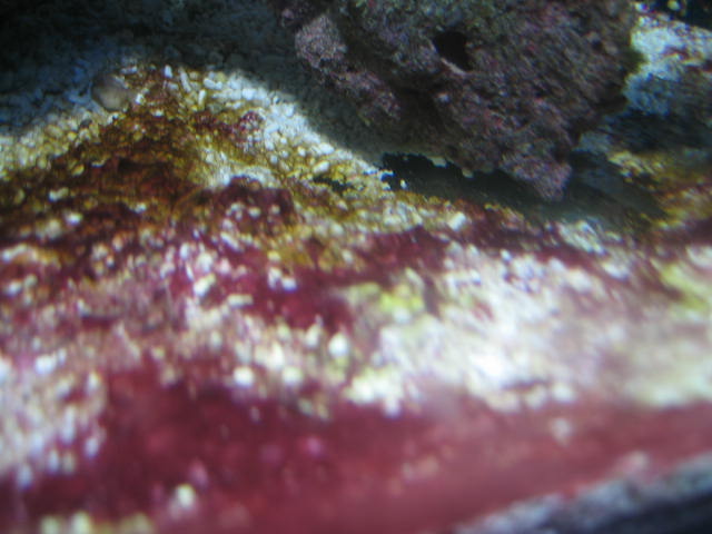 IMG_5769.JPG