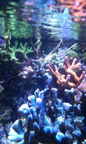 IMAG0483.jpg