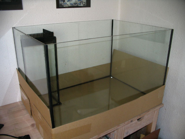 nytakv-002.jpg