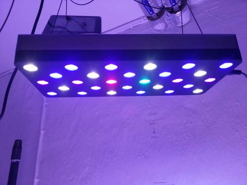 Onyx fra Rapid LED.