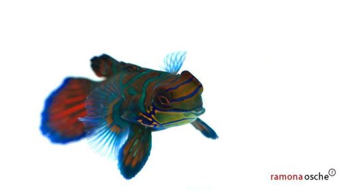 981063_10201286764319596_474093323_o.jpg