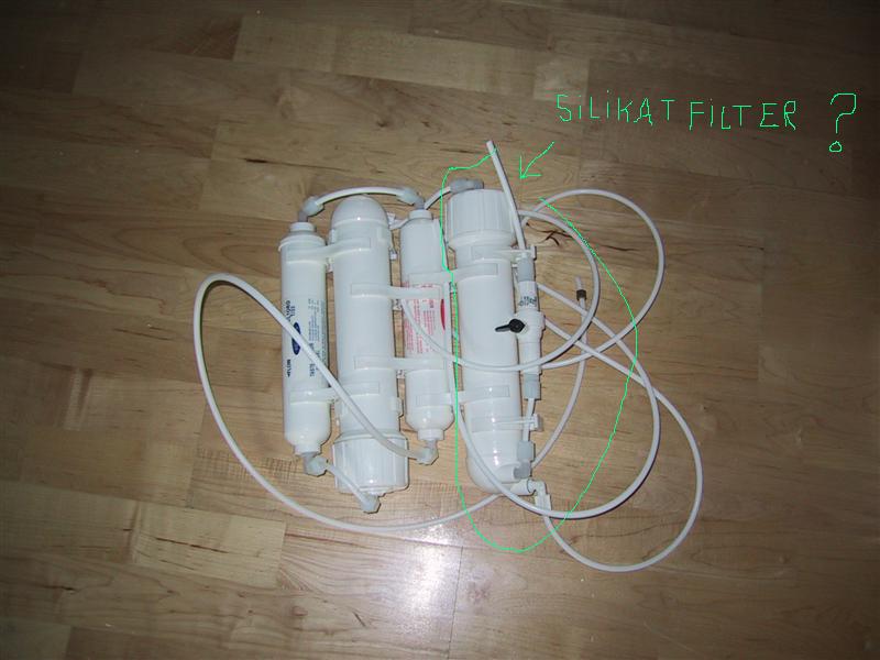 IMG_0266 (Medium).JPG